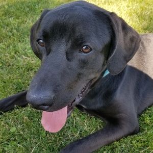 Meet your Posher, Kami